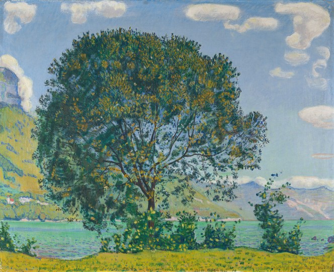 Ferdinand Hodler - Baum am Brienzersee vom B&ouml;deli aus, um 1906, 1906