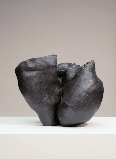 Liz Larner - Asteroid (V. Woolf), 2020, 2020