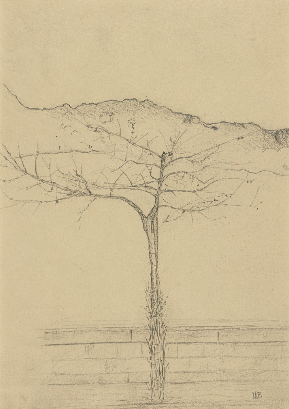 &Eacute;tude d&rsquo;arbre, 1902